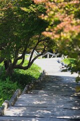 大台ヶ原の風景