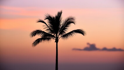 Minimalist scene of a palm tree&rsquo;s dark outline against a vivid sunset horizon, warm light filling the sky.

