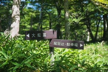大台ヶ原の風景
