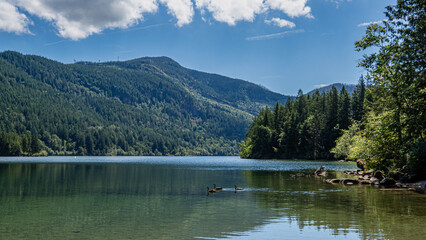 Hick lake in Sasquatch provincial park showcasing its calm waters, wooded shoreline, and campground surroundings, Harrison, BC, Canada