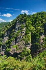 Fototapeta premium 大台ヶ原の風景 