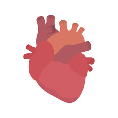 人体心臓のイラストと循環器解剖図をかわいい手描き風で描いた医療素材