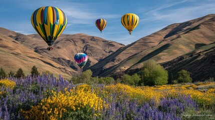Fototapeta premium Dynamic landscape shot of solar balloons casting shadows on flowers and hill slopes