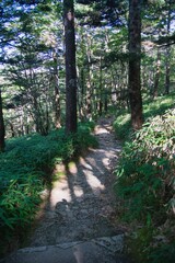 大台ヶ原の風景