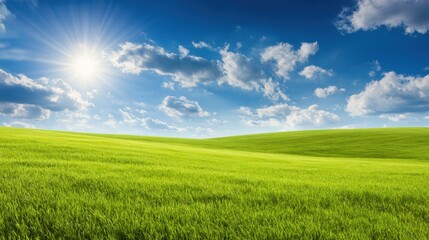 Fototapeta premium Vibrant green landscape under a bright sun with fluffy clouds, evoking a sense of tranquility and nature