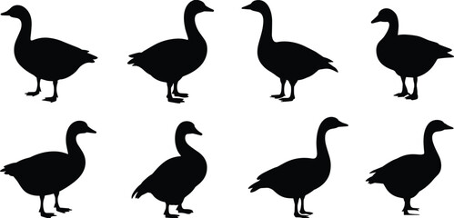 Duck and goose silhouettes, bird vector set, black animal shapes, flying and standing poses, wildlife clipart, isolated design, nature illustration, avian diversity, farm birds.