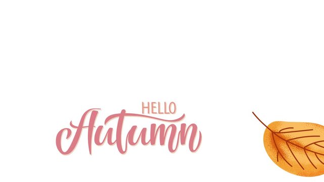 Hello Autumn calligraphy lettering with falling leaf doodle sketch video. Natural animations about beginning of autumn, Thanksgiving day. Autumn script font and leaf. Motion animation 