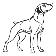 Minimalist Line Art Illustration of Dog Vector

Minimalist Dog Line Art Vector, Elegant Dog Outline Illustration,Modern Dog Logo Design