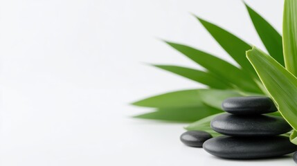 Stacked black stones on a serene background with green bamboo leaves, symbolizing tranquility and wellness