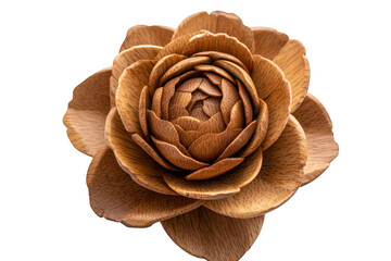 Obraz premium Detailed view of a natural wooden pinecone structure with intricate petal layers isolated on transparent background