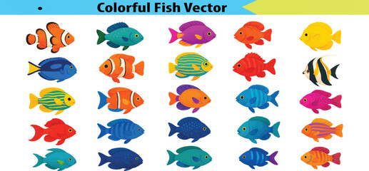 Obraz premium colorful fish vectors 