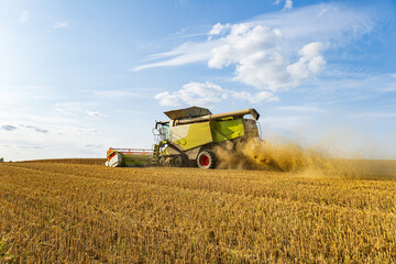 Obraz premium A combine harvester works efficiently in a golden field, gathering ripe crops as dust rises against a vibrant sky, showcasing agricultural activity