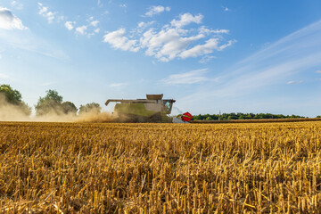 Fototapeta premium A combine harvester moves through expansive golden fields, harvesting crops as dust rises against a backdrop of blue skies and distant trees
