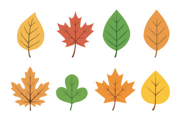 Autumn and green leaves vector icons. leaf vector set.