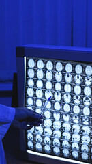 Doctor and MRI. MRI. MRI of the head. High-quality photo.