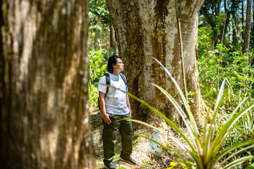 asian male hiker exploring tropical forest with backpack, standing under big tree. Adventure travel and outdoor lifestyle in lush jungle environment
