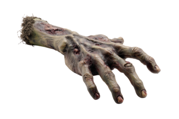 Severed decaying zombie hand with rotting flesh and exposed bone isolated on a transparent background