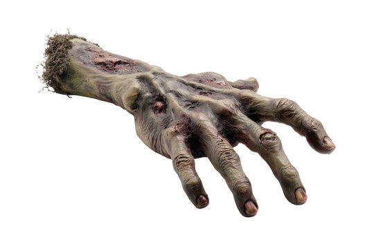 Severed decaying zombie hand with rotting flesh and exposed bone isolated on a transparent background