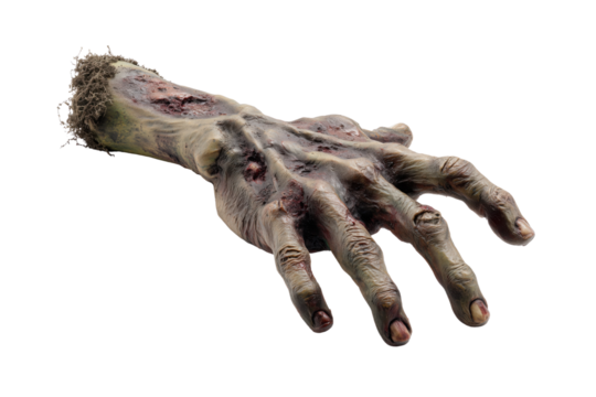 Severed decaying zombie hand with rotting flesh and exposed bone isolated on a transparent background