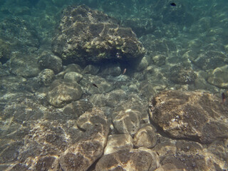 Fondale Marino di Ognina a Siracusa 