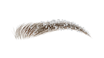 Elegant curved eyebrow with crystal accents on brown hairs isolated on the transparent background for beauty and fashion concepts