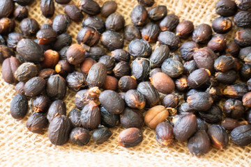 Coffee beans showing various stages of roasting from raw