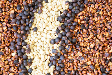 Coffee beans showing various stages of roasting from raw