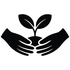 Hands cradling a seedling with two leaves plant growth