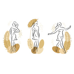 Collection. Silhouette of a cute lady and leaves of a plant. The girl is standing. The woman has a beautiful figure. She is young and slim. Vector illustration set.