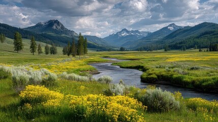 Serene Valley with Winding River and Vibrant Wildflowers Landscape