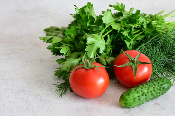 Fresh Tomatoes, Cucumber and Herbs A Still Life Composition copy space