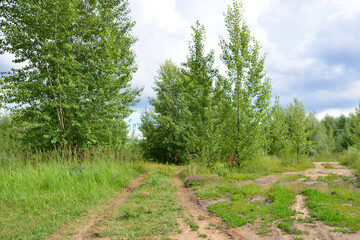 Dirt road winding through a lush green landscape with trees under a cloudy sky