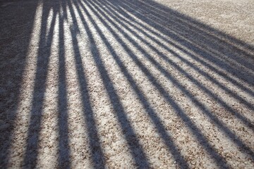 Naklejka premium Parallel shadows on a light-colored ground
