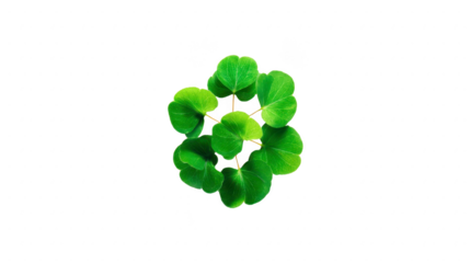 Fresh green leaves arranged in circular pattern create vibrant and lively appearance, perfect for nature themed designs or backgrounds. lush foliage evokes sense of tranquility and growth