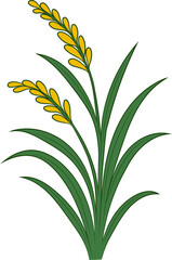 가을 추수 벼 농업