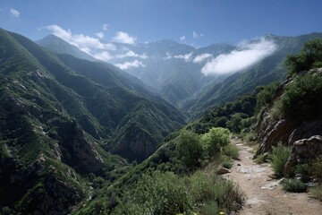 Obraz premium Mountain valley vista, sunlit path (1)