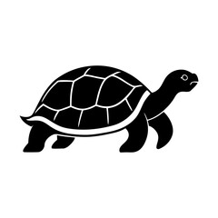 Sea turtle reptile ocean animal tortoise graphic illustration silhouette