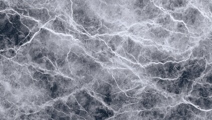Fototapeta premium Gray and white marble-like texture with prominent veins