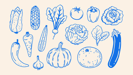 Minimalist hand drawn sketch vegetables vector illustration.