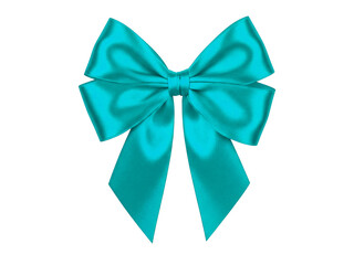 Bow isolated on transparent background.