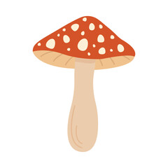 Red fly agaric mushroom. Vector illustration, hand-drawn on a white background