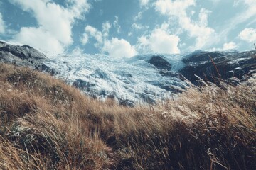 Mountain glacier with golden grass foreground