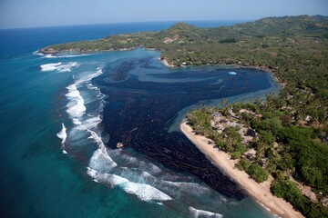 Aerial view of a dark, large seaweed bloom impacting a tropical coastline