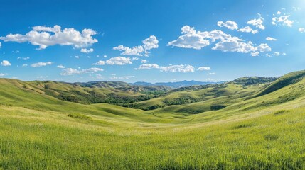 Fototapeta premium Serene Rolling Hills Under a Summer Sky.