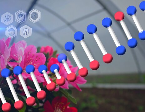 DNA helix entwined with flowers in greenhouse