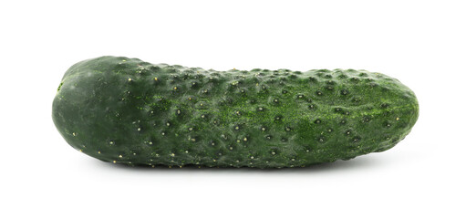 One fresh green cucumber isolated on white