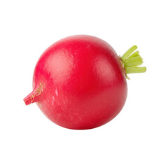 Close up view of single freshly picked red radish against dark background