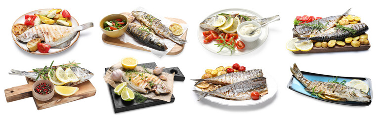 Fried fish. Dishes isolated on white, set