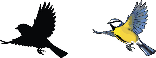 Blue tit bird in flight, colorful illustration, black silhouette contrast, vibrant feathers, wildlife art, nature concept, avian motion, isolated background