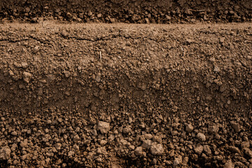 Close-up of a plowed soil ridge with rich earthy texture, visible clumps, and natural cracks in a cultivated agricultural field